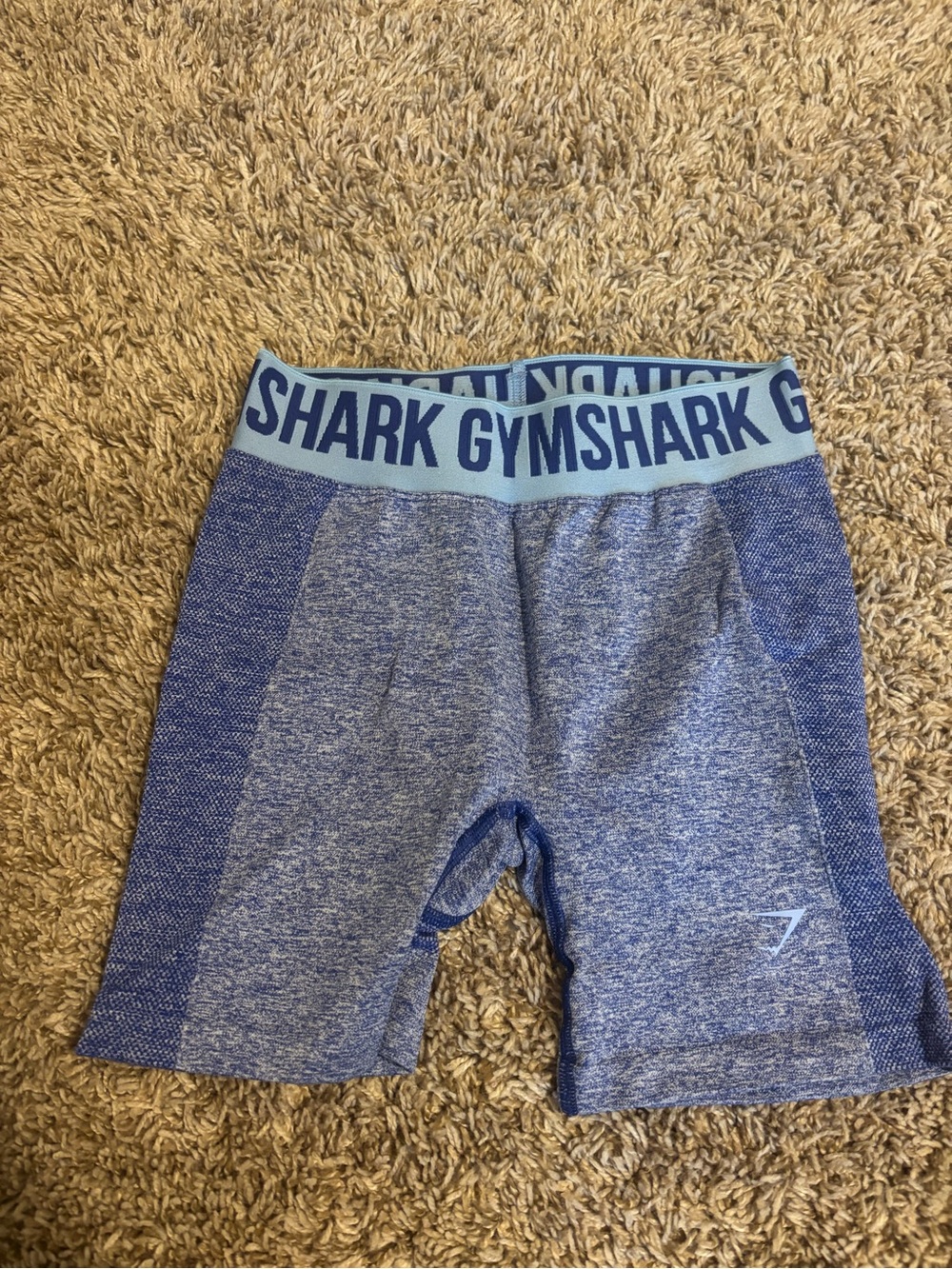 Gymshark Women’s Blue Seamless Athletic Shorts